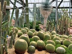 -中国科学院华南植物园