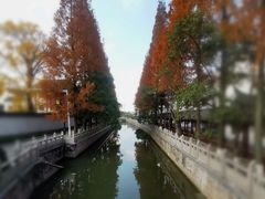 -安亭老街