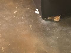 -时光转角咖啡馆(西康路店)