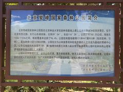 -北京鹫峰国家森林公园
