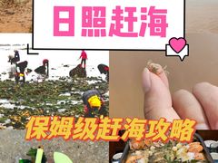 -渡海小渔村.老辈日照菜