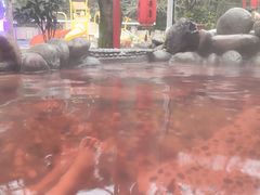 -灵秀温泉