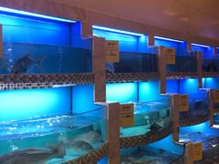 水产区-舟山朱家尖威斯汀酒店·知味标帜自助餐厅