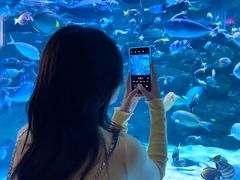 -海合安成都极地海洋公园