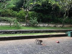 -逍遥谷景区