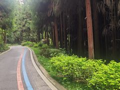-太阳湾风景区