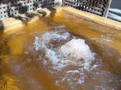 -春晖园度假酒店温泉