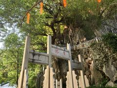 -星湖旅游景区七星岩