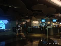 -百美汇影城(LUXE嘉里中心店)