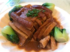 -椿记烧鹅(叠彩店)