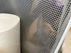 -艾贝尔宠物医院 ·中兽医·宠保定点(北门桥店)