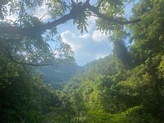 -广州白江湖森林公园