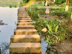 -重庆彩云湖湿地公园