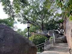 -鸿山公园