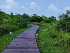 -盘龙城国家考古遗址公园