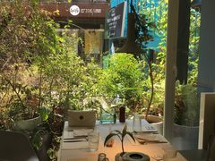 -春树下·树屋花房西餐厅(罍街AS1980店)