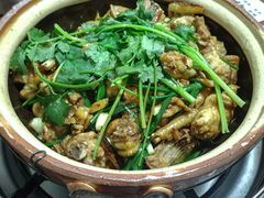 -华仔土鸡店(南洲分店)