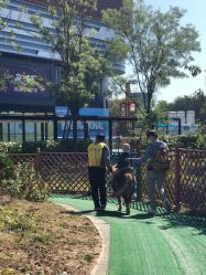 -萌宠亲子动物乐园(槐房万达店)