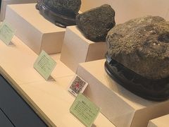 -房山世界地质公园博物馆