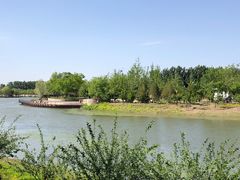 -东郊湿地公园