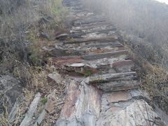 -南窖乡水峪村山情农家