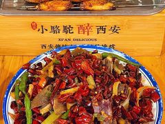 -福苗小骆驼烧烤(莲湖路店)