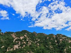 -大岭沟猕猴桃谷风景区