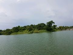 -河川生态园