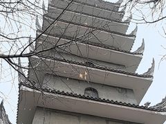 -生宇山珍野生菌汤锅•始于1999(双流古塔店)