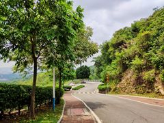 -火炉山森林公园