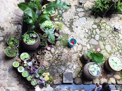 -云水谣景区-土楼之光文化园