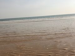 -日照海滨国家森林公园