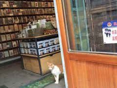 -猫的天空之城概念书店(西塘古镇店)