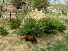 -西安秦岭野生动物园