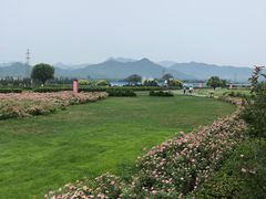 -君乐宝优致牧场