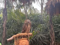 -广州长隆国际大马戏