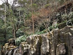 -宁海森林温泉