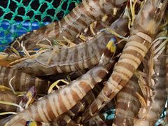 -碧海银沙海鲜餐厅(恒大海上威尼斯店)