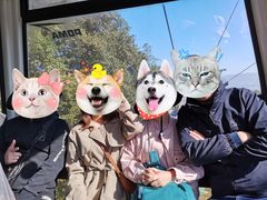 -苍山感通索道