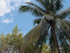 -海南清水湾莱佛士酒店