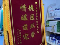 -博特宠物医院24h犬猫全科.骨科·异宠