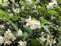 -碓臼峪自然风景区