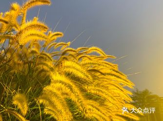 珠海地标——海韵城 下午五点多去，赶上夕阳美不胜收