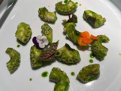 芥末青酱八爪鱼-CHIC1699远洋私厨