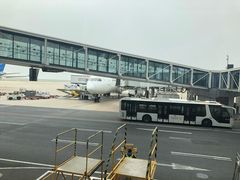 -上海浦东国际机场-T2航站楼