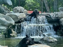 -北京野生动物园