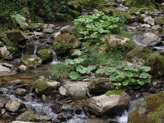 -鹿院坪生态旅游景区