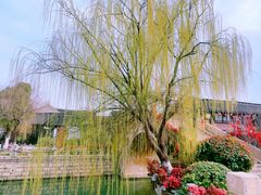 -东台西溪天仙缘景区