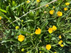 -白草畔自然风景区