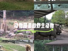 -宁波野生动物园